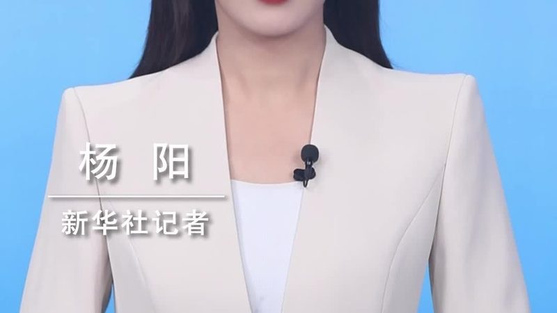 在采购政务云平台时，应注意避免以下误区：